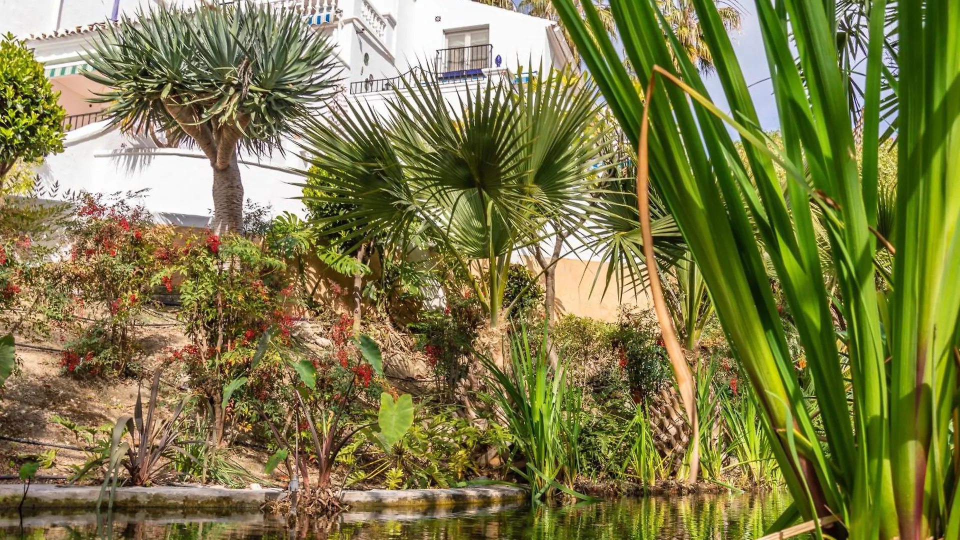 Tetuan 17 Oasis Properties Nerja