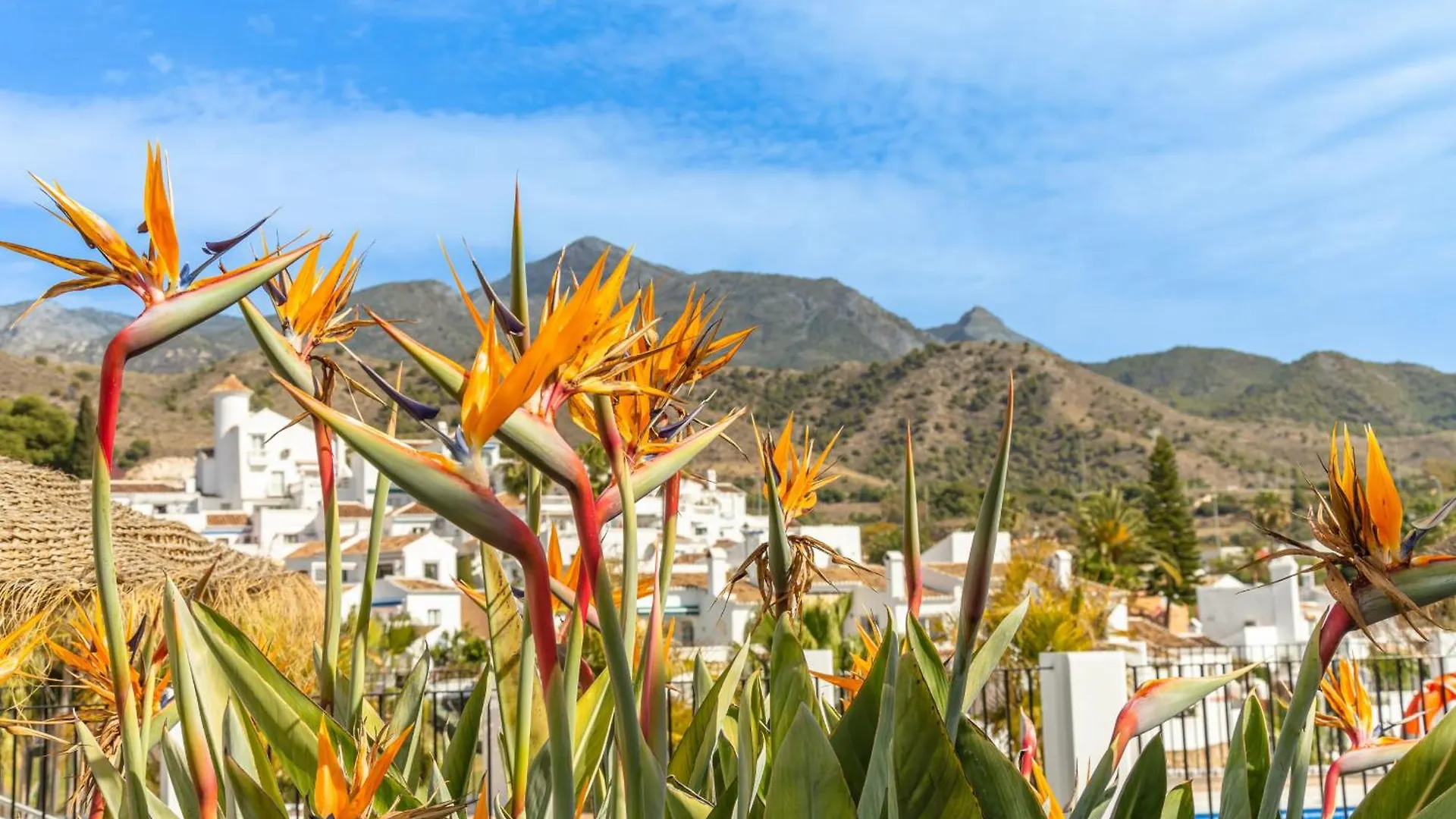 Tetuan 17 Oasis Properties Nerja 0*,  Spain